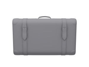 Travel bag cartoon Model 3D
