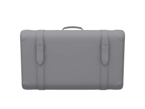 Travel bag cartoon 3D Model