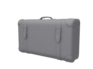 Travel bag cartoon 3D Model