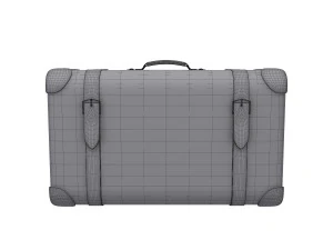 Travel bag cartoon 3D Model