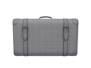 Travel bag cartoon 3D Model