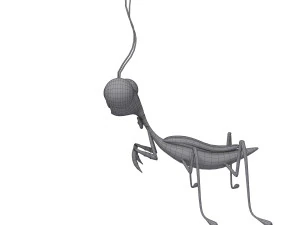 Praying Mantis Cartoon 02 3D Model