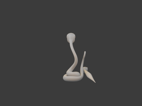 Snake cartoon 02 3D मॉडल