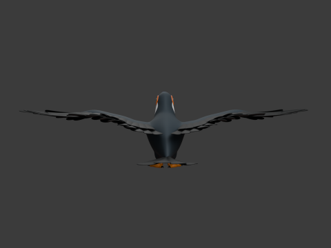 Tukan-Cartoon 3D Modell