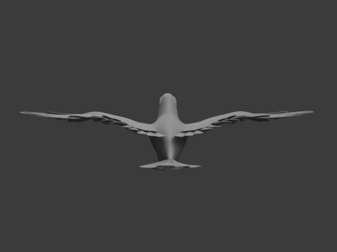 Tukan-Cartoon 3D Modell