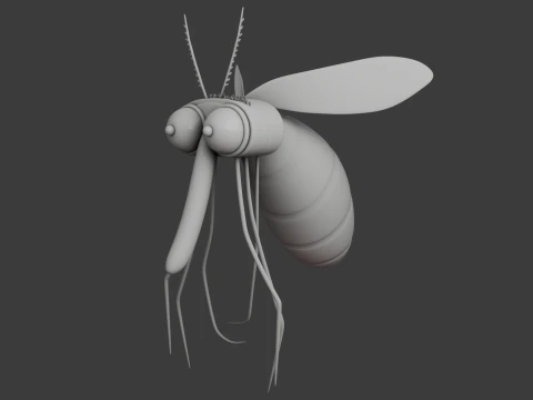 Mosquito Cartoon 02 3D Model