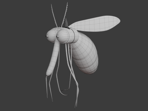 Zanzara cartone animato 02 Modello 3D