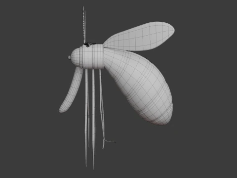 Mosquito Cartoon 02 3D Model