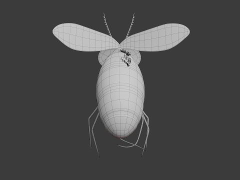 Zanzara cartone animato 02 Modello 3D