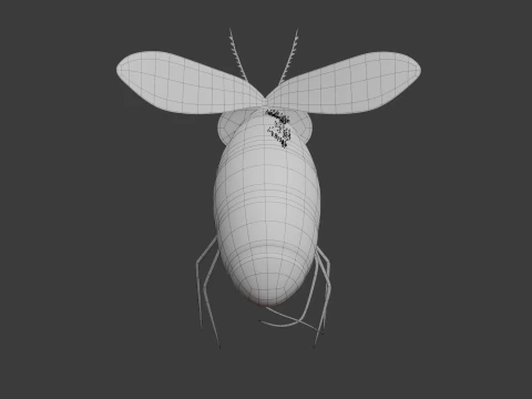 Mosquito Cartoon 02 3D Model