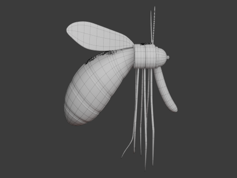 Zanzara cartone animato 02 Modello 3D