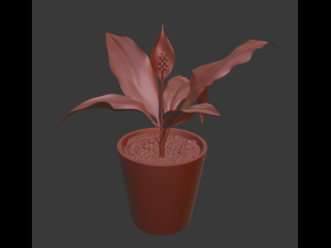 spathiphyllum 3D Модель