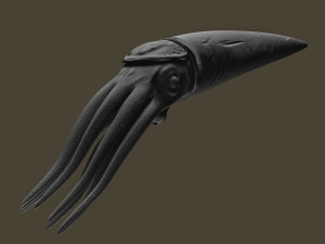 orthoceras Modello 3D