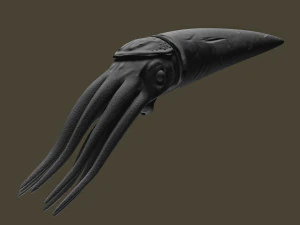 orthoceras 3D Model