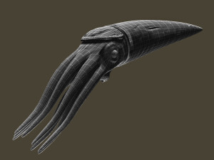 orthoceras Modello 3D