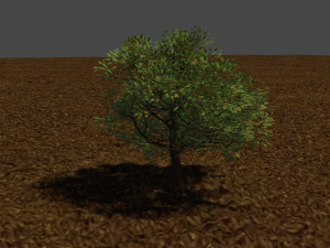 tree Model 3D