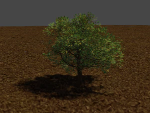 дерево 3D Модель