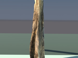 Firewood 3D-Modell