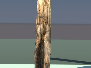 Firewood 3D-Modell