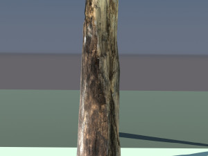 Firewood 3D-Modell