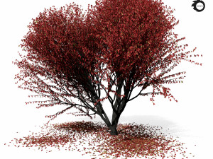 maple tree 8s 3D 모델