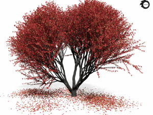 maple tree 8s 3D 모델