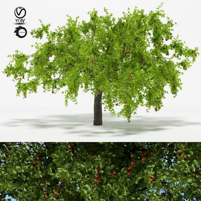 apple tree 5s 3D मॉडल .c4d .max .obj .3ds .fbx .stl .blend 