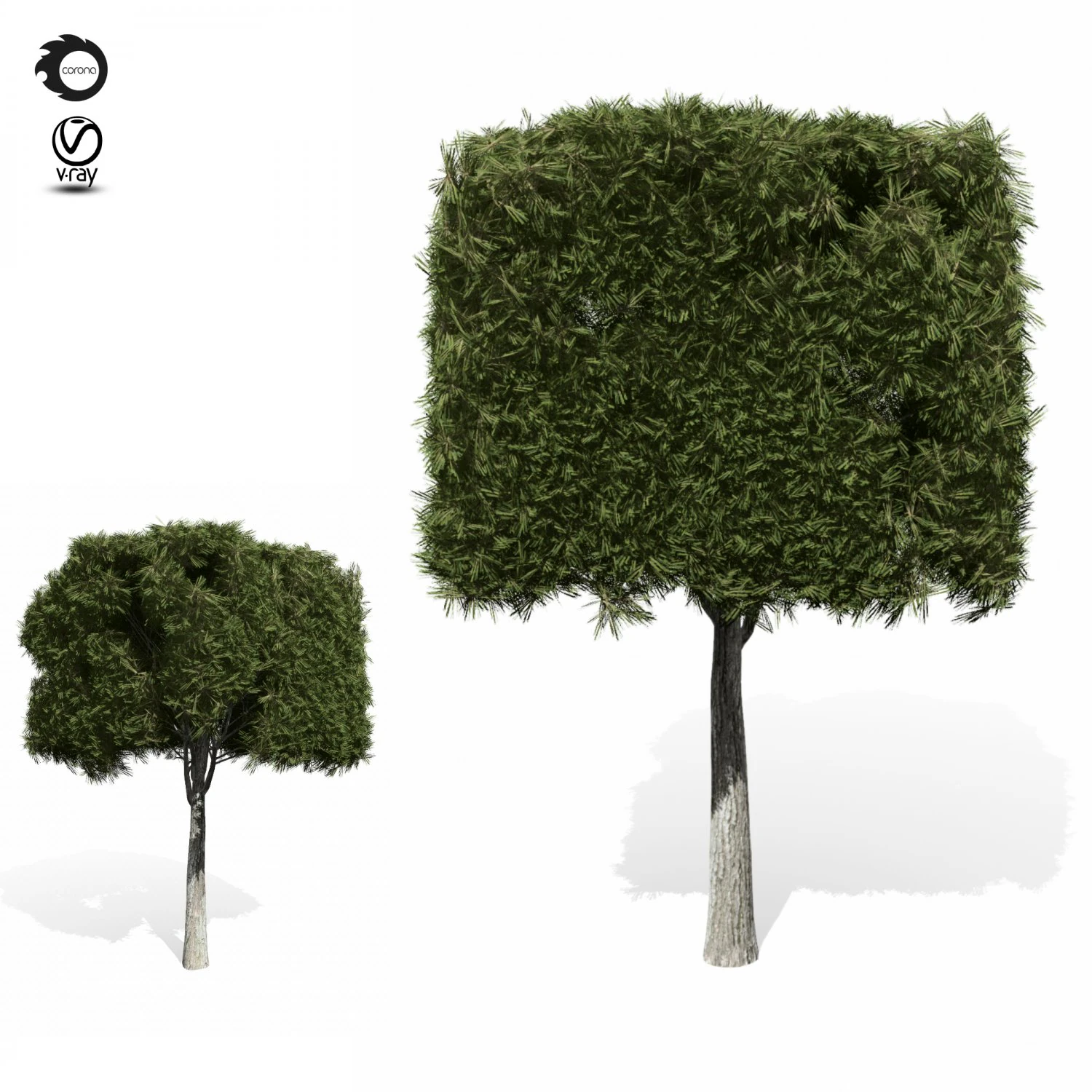 topiary tree 3D Model .c4d .max .obj .3ds .fbx .stl .blend 