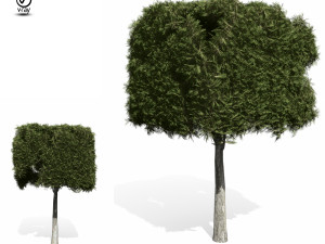 topiary tree 3D 모델