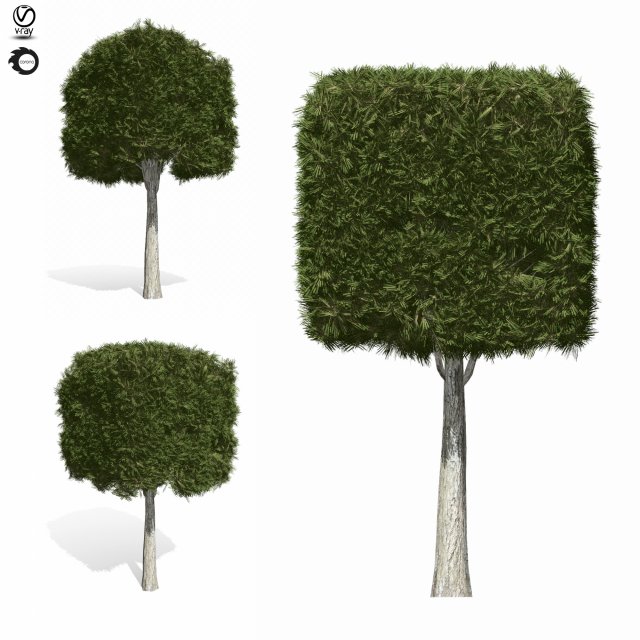 topiary tree 5s 3D 모델 .c4d .max .obj .3ds .fbx .stl .blend 