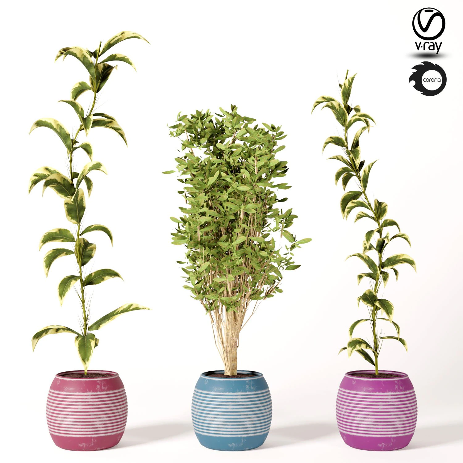 indoor plant set s01 3D Model .c4d .max .obj .3ds .fbx .stl .blend 