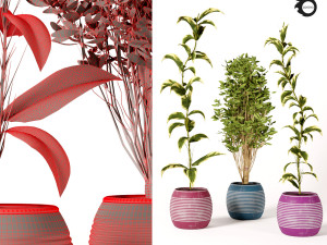 indoor plant set s01 Model 3D