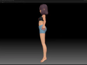 Базовая сетка стилизованного персонажа девушки в zbrush &mdash; стиль девушки Эми 3 3D Модель