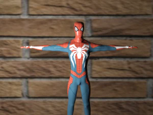 spiderma 3d 3D Model