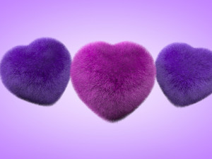 heart of plush 3D 모델