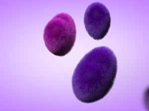 heart of plush 3D Model