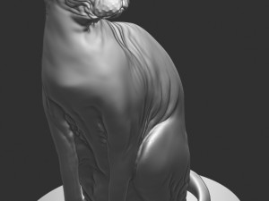 sphynx cat 3D Print Model