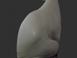 sphynx cat 3D Print Model