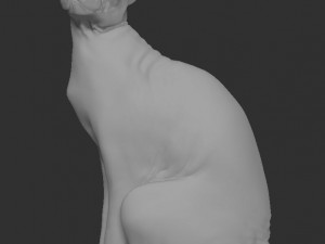 sphynx cat 3D Print Model