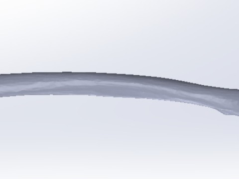 Femure Bone 3D Model