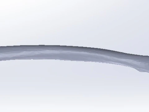 Femure Bone 3D Model
