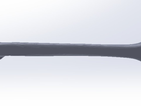 Femure Bone 3D Model