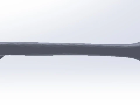Femure Bone 3D Model