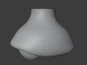 esferico vase 3D Model