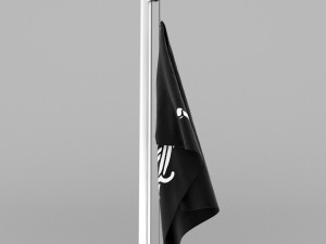 pirate flag Model 3D