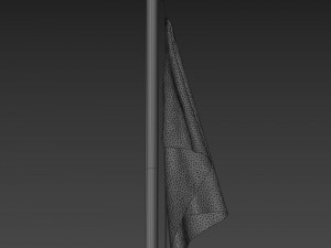 pirate flag Model 3D