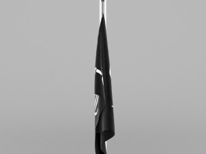 pirate flag Model 3D