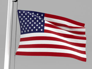 flag of united states of america 3D Model