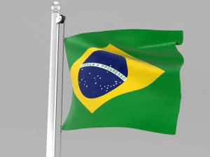 flag of brazil 3D Model