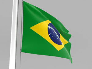 flag of brazil 3D Model